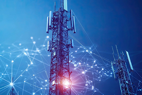 Business network infrastructure and connectivity support